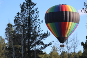 A hot air balloon piloted by Black Hills Balloons pilot, Damien Mahony, flies gently over ponderosa pine trees in the South Dakota Black Hills